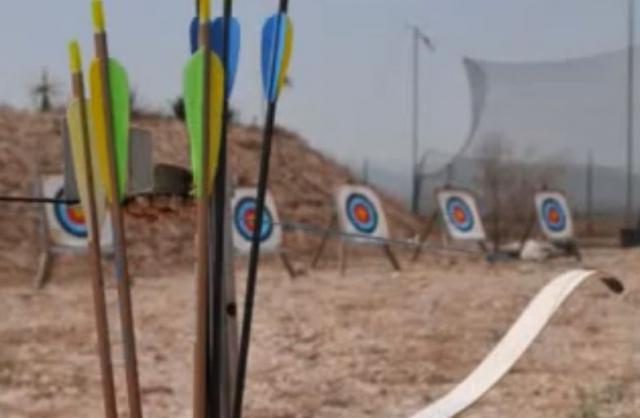Arrows and targets 